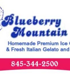 Zoghby’s Blueberry Mountain Ice Cream